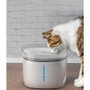 Petoneer Fuente Inteligente Fresco Ultra 2L con Control por APP